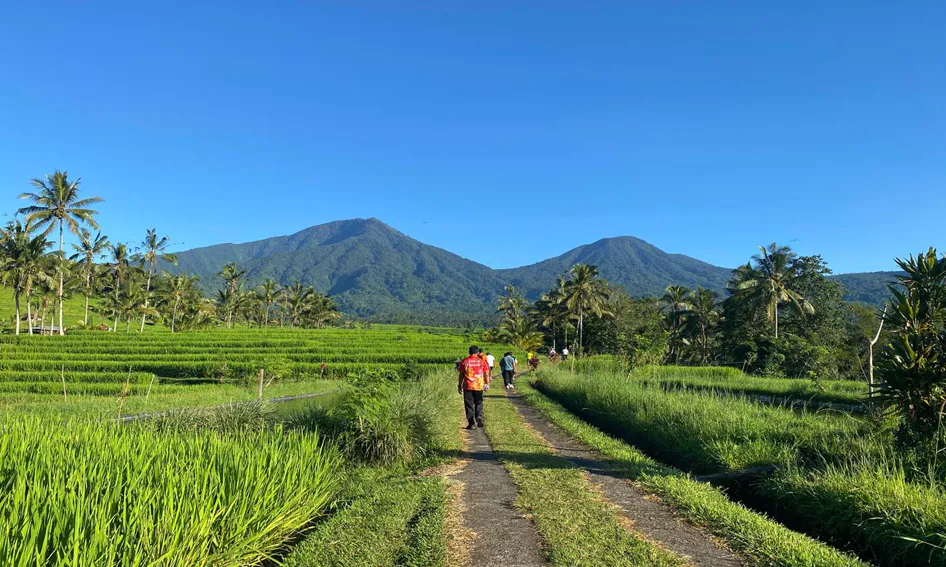 Jatiluwih