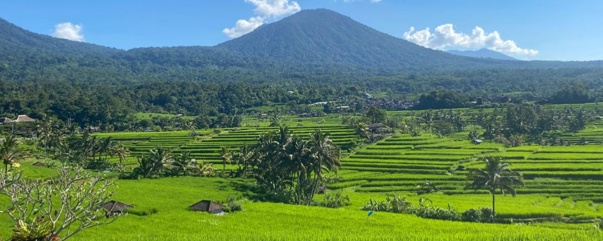 Jatiluwih Tour photo 2