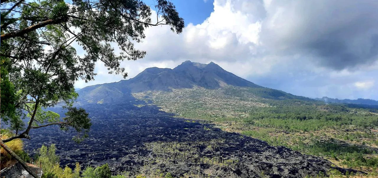 Kintamani 
