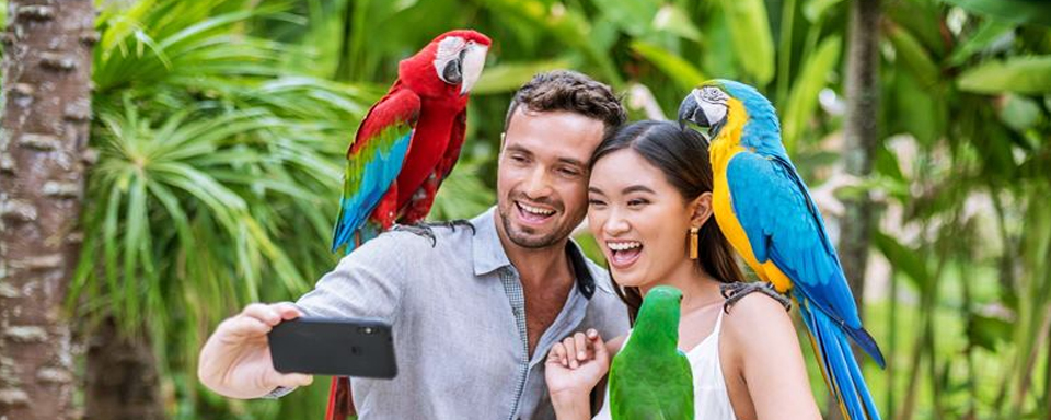 Bali Bird Park