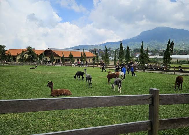 Bali Farm House