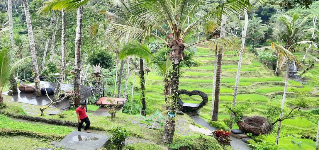 Bali Package Tour 4 Days 3 Night for GIT Min. 30 People photo 5