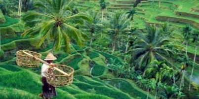 Special 3 Days Bali Package Tour  photo 4