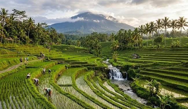 Subak Juwuk Manis