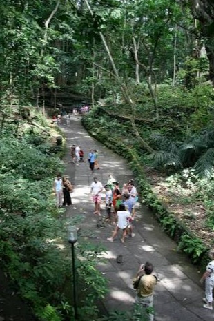 Special 6 Days Bali Package Tour  photo 3