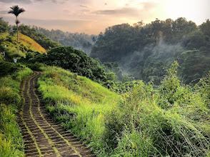 Campuhan Ridge Walk