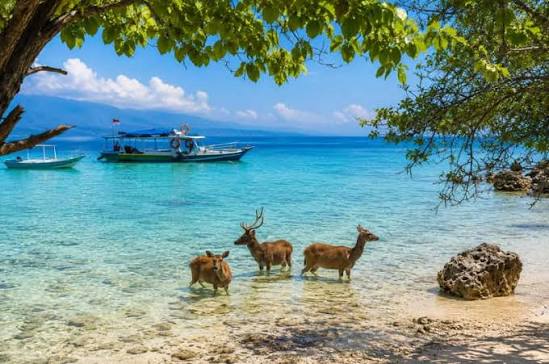 West Bali National Park