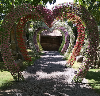 Big Garden Corner
