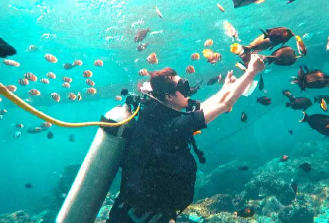 Fun Diving
