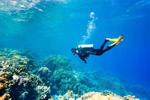 Fun Diving photo 2