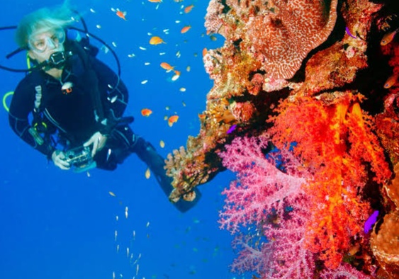 Fun Diving photo 4