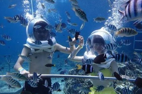 Sea Walker photo 2