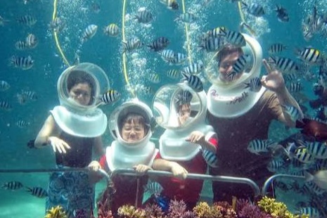 Sea Walker photo 3