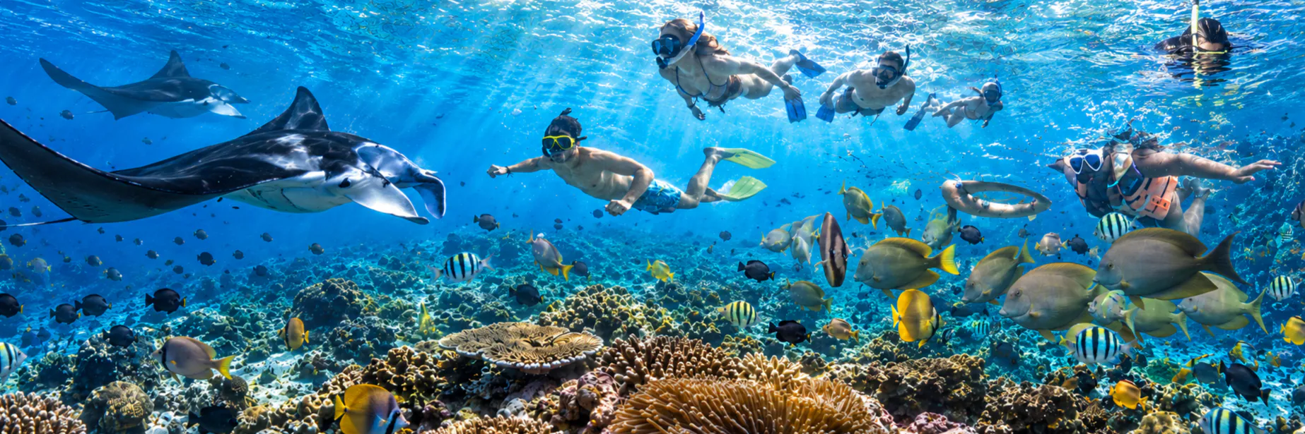 Sharing Snorkeling 