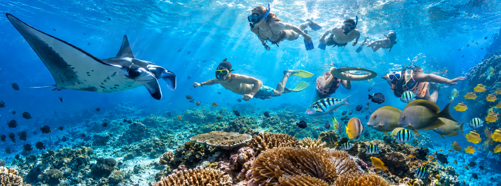 Nusa Penida Snorkeling