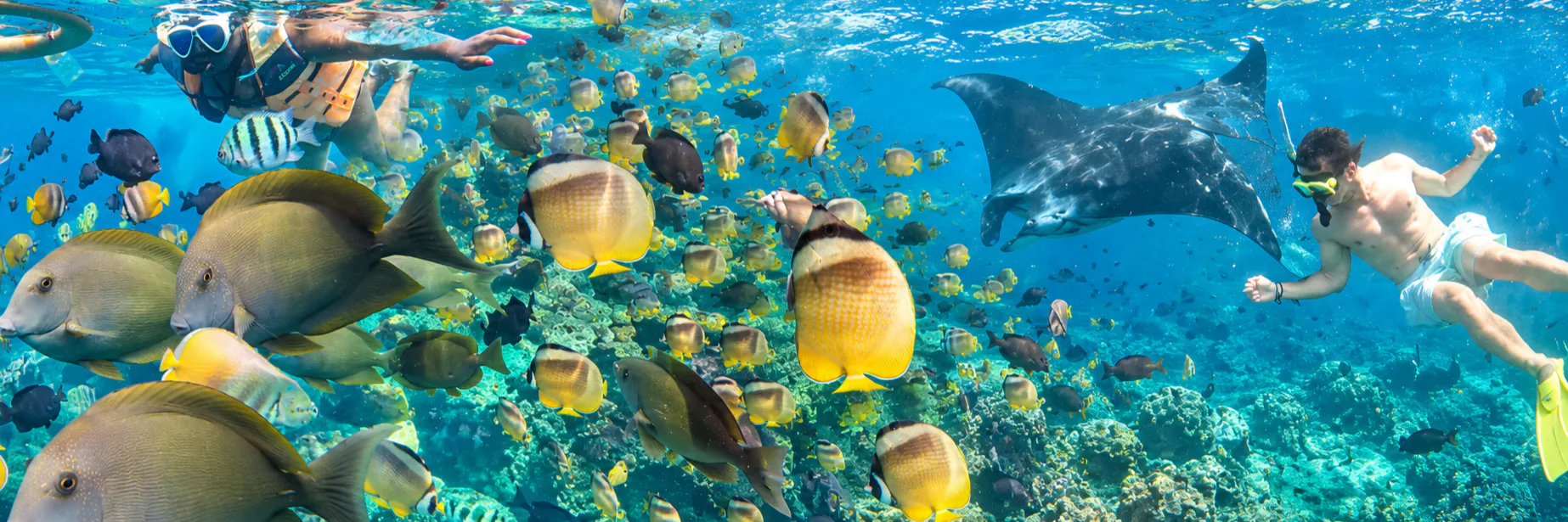 Nusa Penida Private Snorkeling