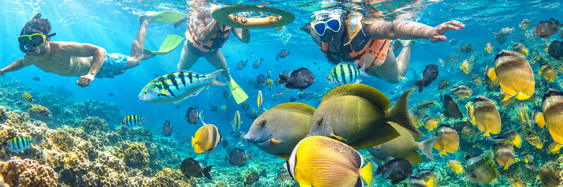 Nusa Penida West and East plus Private Snorkeling  3 Days Package Tour 